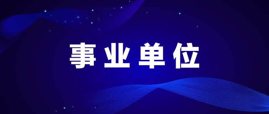 庆阳最新招聘动态与就业市场分析概览